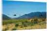 View of Helicopters Landing by Anonymous