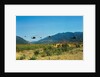View of Helicopters Landing by Anonymous