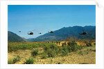 View of Helicopters Landing by Anonymous