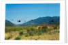 View of Helicopters Landing by Anonymous