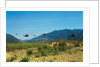 View of Helicopters Landing by Anonymous