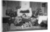 Funeral for Pet Bulldog by Anonymous