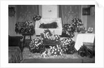 Funeral for Pet Bulldog by Anonymous