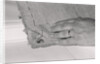 Bugging Device Sewn into Rug by Anonymous