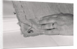 Bugging Device Sewn into Rug by Anonymous