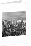 New York Skyline by Anonymous