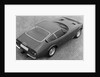 Duo Presentation of the Newly Designed Ferrari by Anonymous