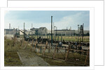 Soldiers Building Berlin Wall by Anonymous