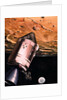 Illustration Showing Apollo 8 in Orbit by Anonymous