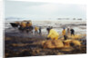 Workmen Dragging Hay Along the Beaches by Anonymous