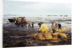 Workmen Dragging Hay Along the Beaches by Anonymous
