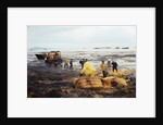 Workmen Dragging Hay Along the Beaches by Anonymous