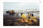 Workmen Dragging Hay Along the Beaches by Anonymous