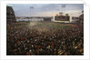 Mets Fans Bombarding the Field by Anonymous