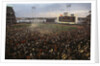 Mets Fans Bombarding the Field by Anonymous