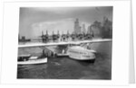 Passengers Disembarking from an Airliner by Anonymous