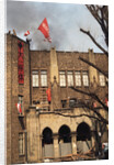 Student Waving Flag from Top of Building by Anonymous