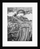 Aerial View of Sydney Harbor by Anonymous