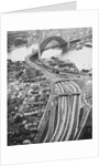 Aerial View of Sydney Harbor by Anonymous