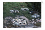 Damage Left by Hurricane Camille by Anonymous