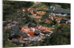 Damage Left by Hurricane Camille by Anonymous