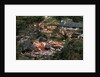 Damage Left by Hurricane Camille by Anonymous