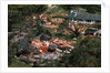 Damage Left by Hurricane Camille by Anonymous