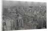 View of Sao Paulo Skyline by Anonymous
