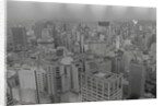 View of Sao Paulo Skyline by Anonymous