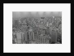 View of Sao Paulo Skyline by Anonymous