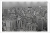 View of Sao Paulo Skyline by Anonymous