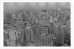 View of Sao Paulo Skyline by Anonymous