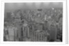 View of Sao Paulo Skyline by Anonymous