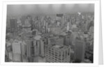 View of Sao Paulo Skyline by Anonymous