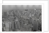 View of Sao Paulo Skyline by Anonymous