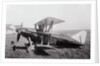 Triplane Attempting a Record Break by Anonymous