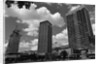 Buildings in the Modern Section of Caracas by Anonymous