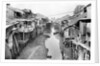 Scene of Squalid Living Area in Village by Anonymous