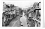 Scene of Squalid Living Area in Village by Anonymous