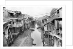 Scene of Squalid Living Area in Village by Anonymous