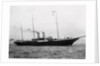 Exterior Side View of the Alexandra by Anonymous
