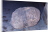 Aztec Artifact Found During Excavation by Anonymous