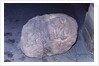 Aztec Artifact Found During Excavation by Anonymous