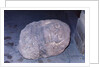 Aztec Artifact Found During Excavation by Anonymous