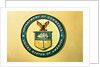 U. S. Government Seal by Anonymous