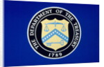 US Department of the Treasury Seal by Anonymous