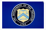 US Department of the Treasury Seal by Anonymous