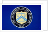 US Department of the Treasury Seal by Anonymous