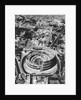 The Colosseum in Rome by Anonymous
