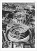 The Colosseum in Rome by Anonymous